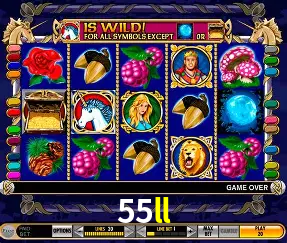 Flash Promotion 55ll